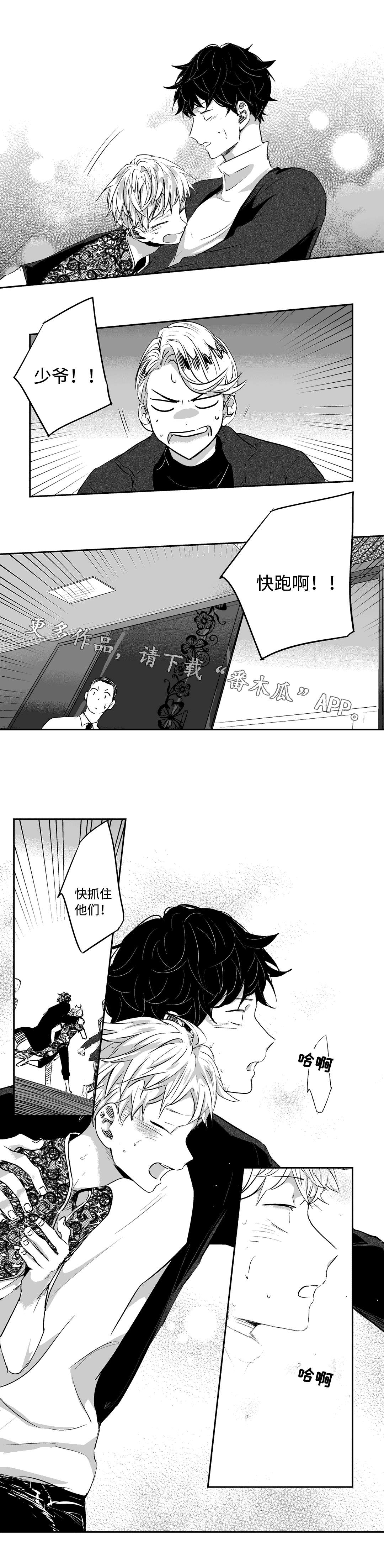 第13章：遮掩6