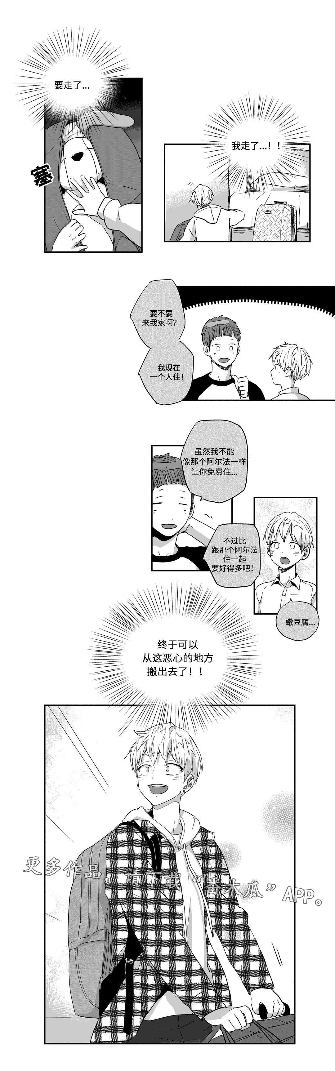 第28章：调查6