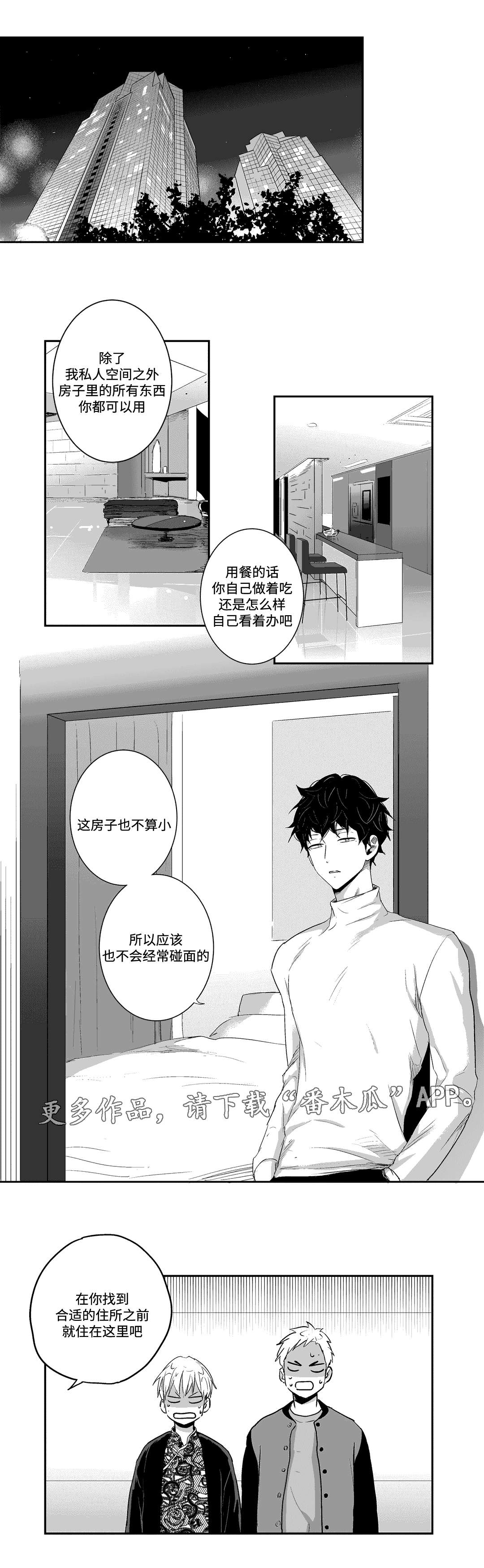第15章：夜袭1
