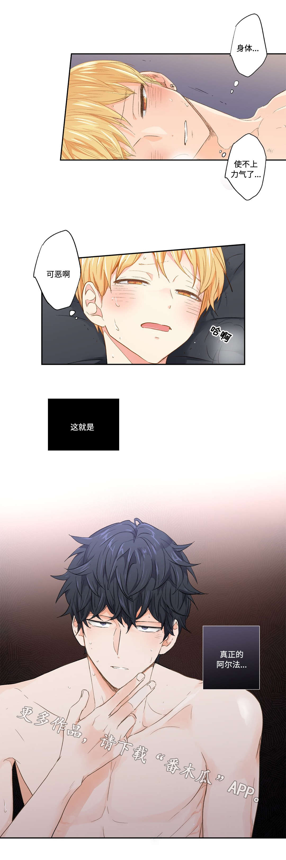 第30章：强迫2