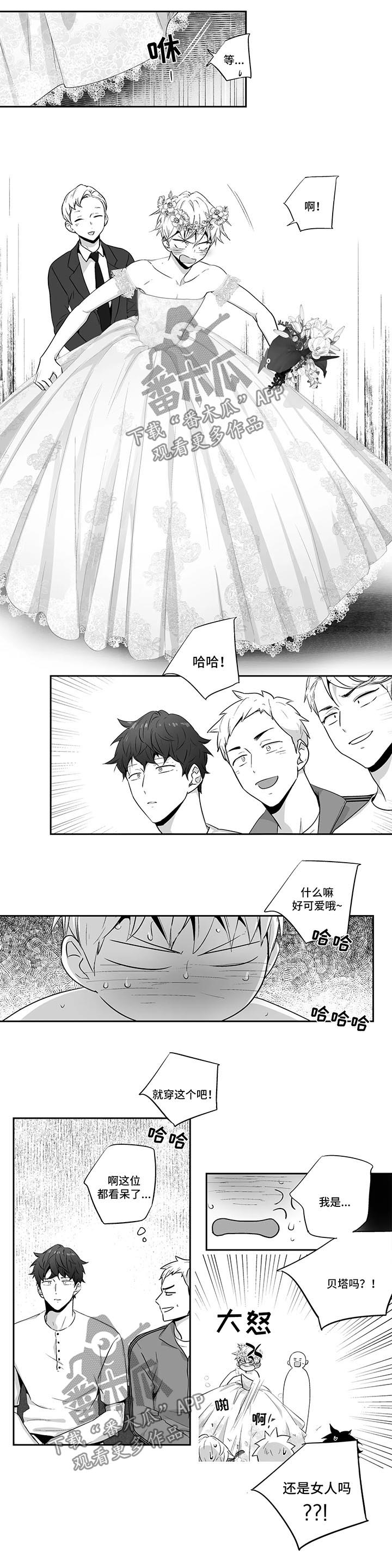 第103章：【第二季】婚礼0