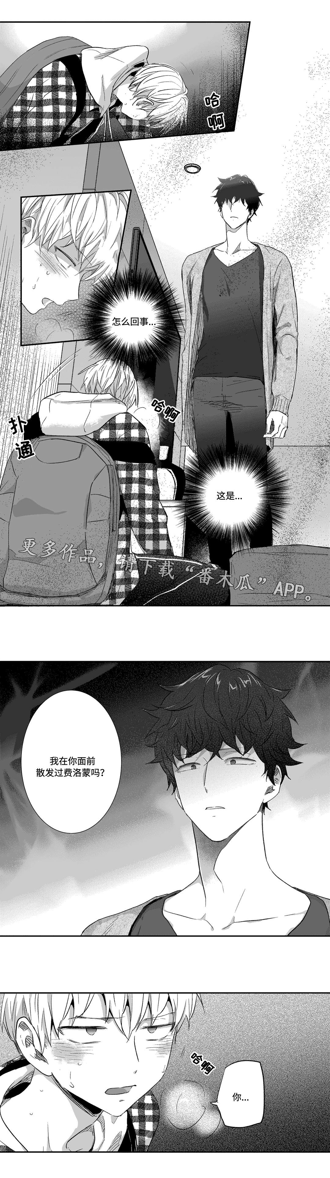 第29章：散发7