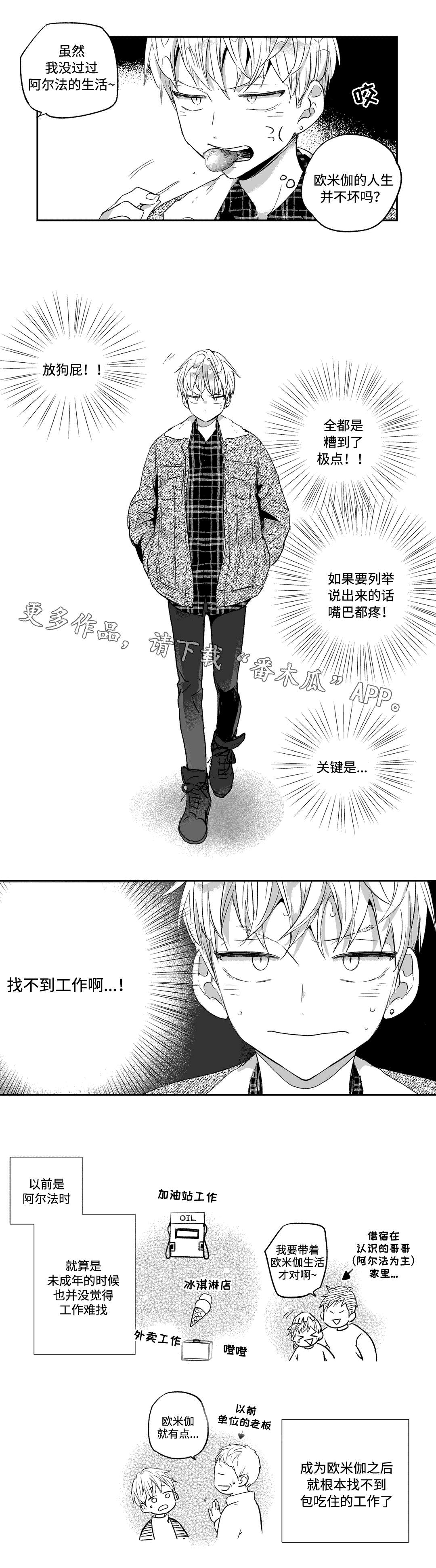 第19章：找工作6