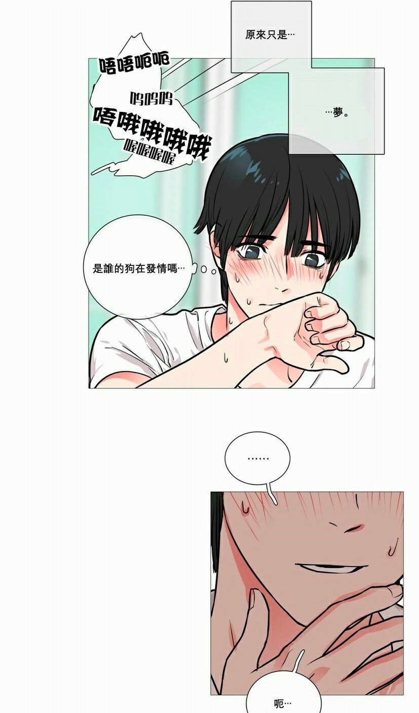 第14章：奇怪装束4