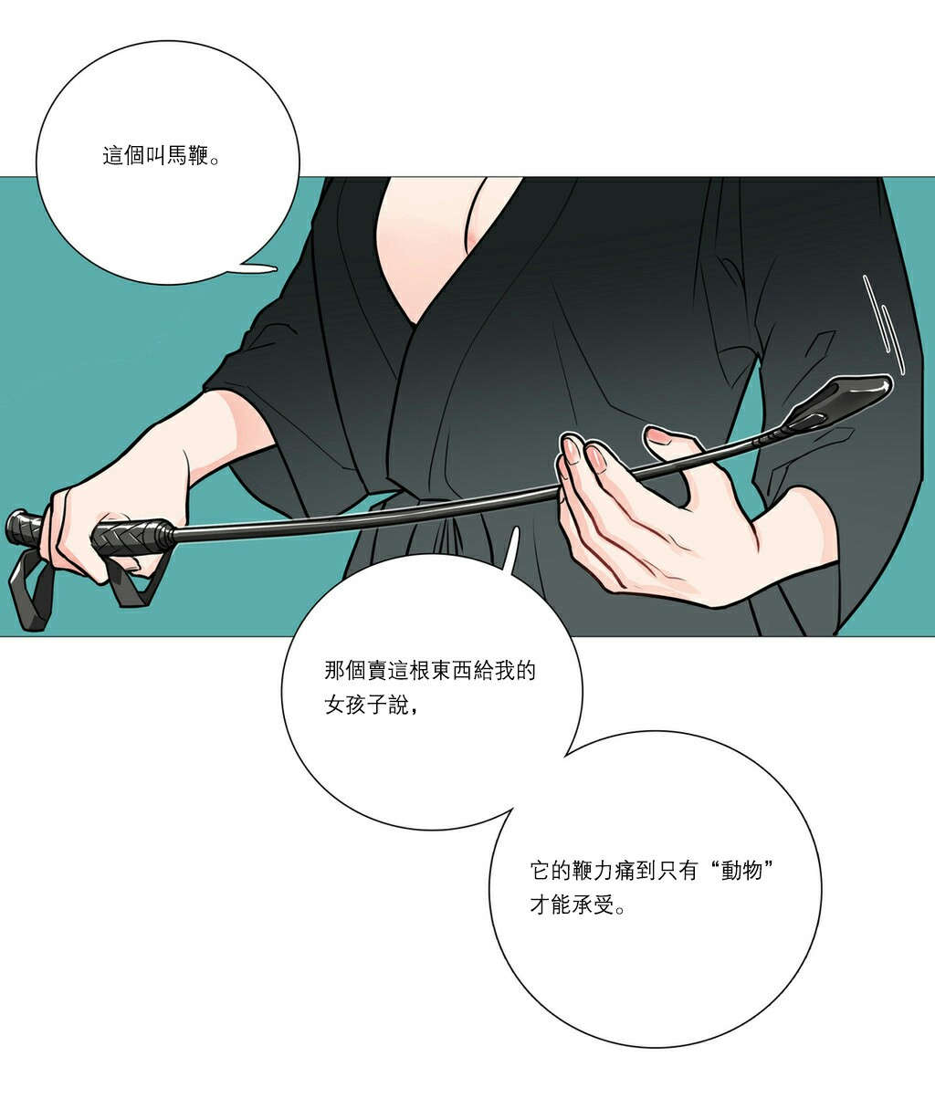 第25章：鞭打11