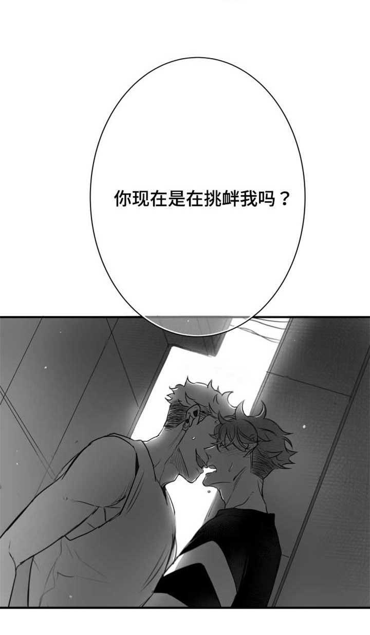 第59章：乱套了16