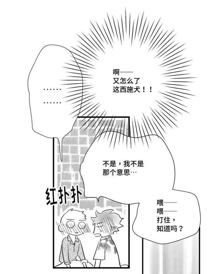 第37章：真实的你20