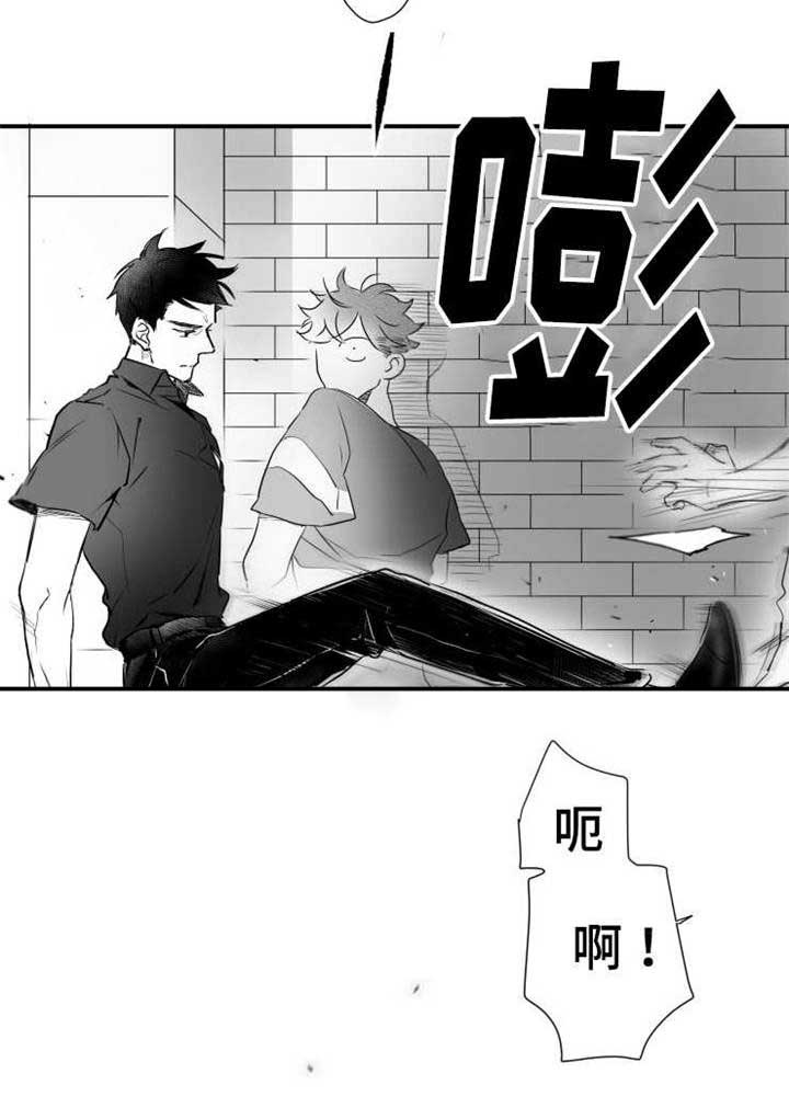第59章：乱套了19