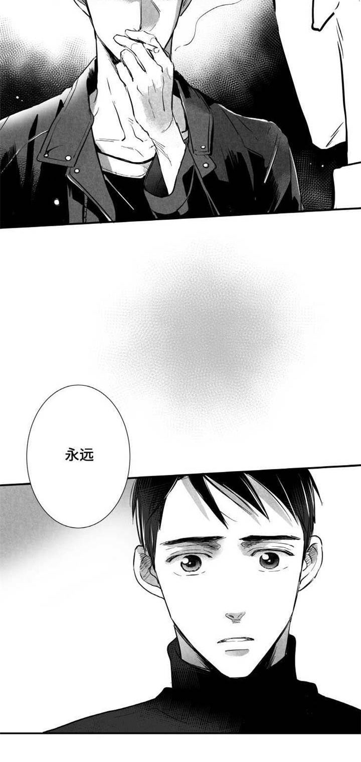 第17章：不会和你交往19