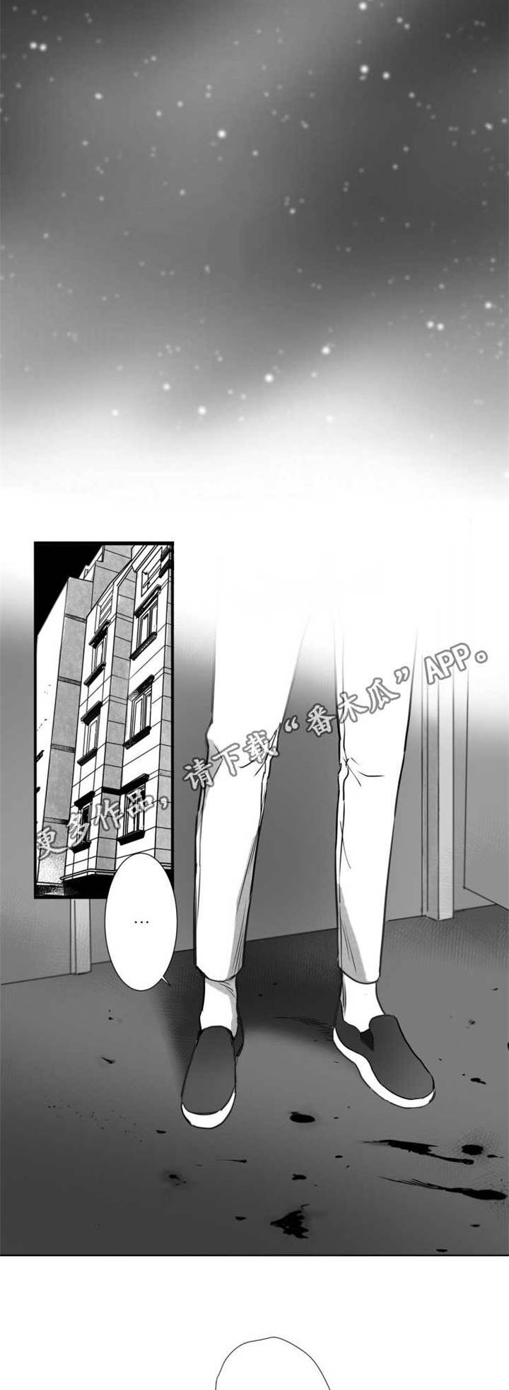 第55章：需求5