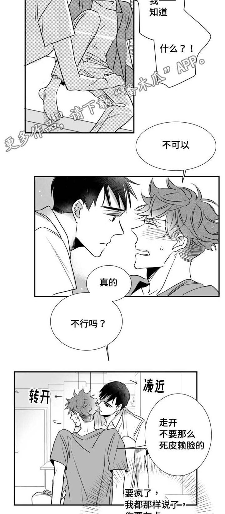 第65章：白头到老10