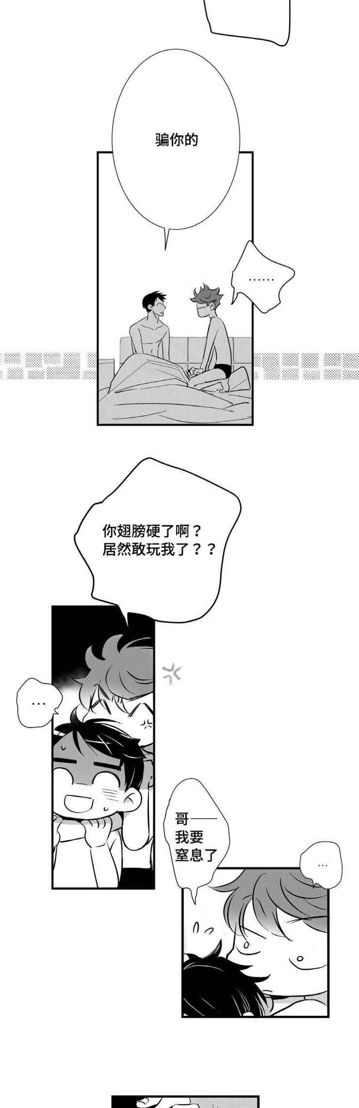 第5章：失误10