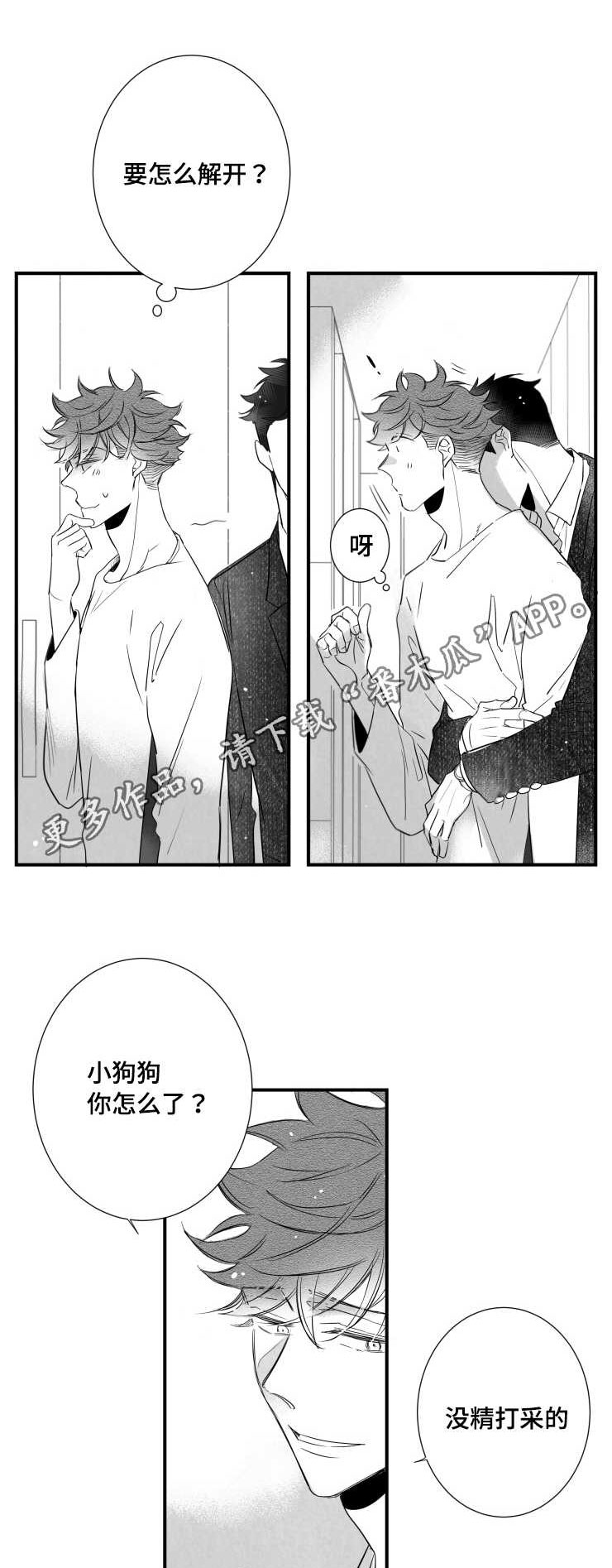 第95章：盖上印章2
