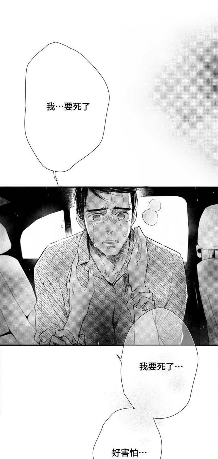 第37章：真实的你5
