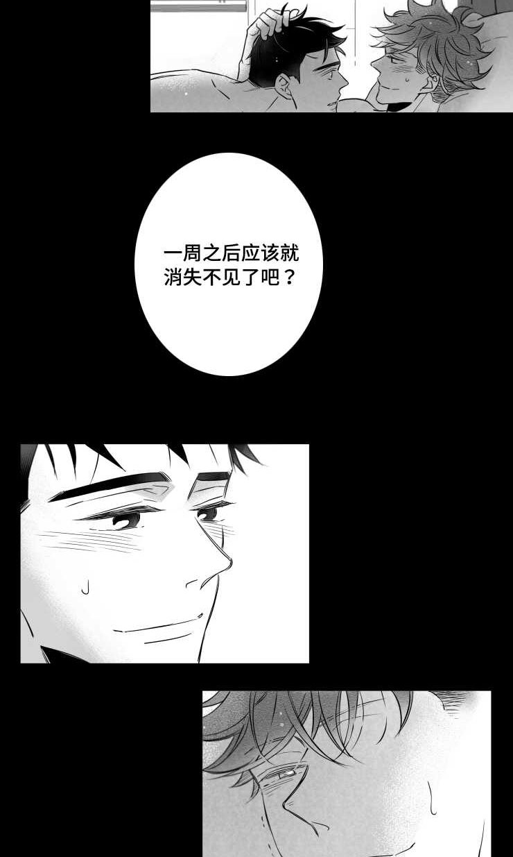 第96章：摆脱7