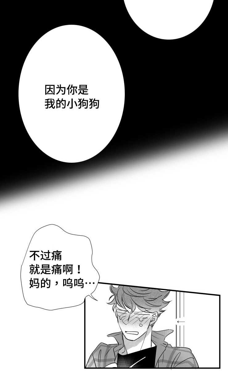 第96章：摆脱9