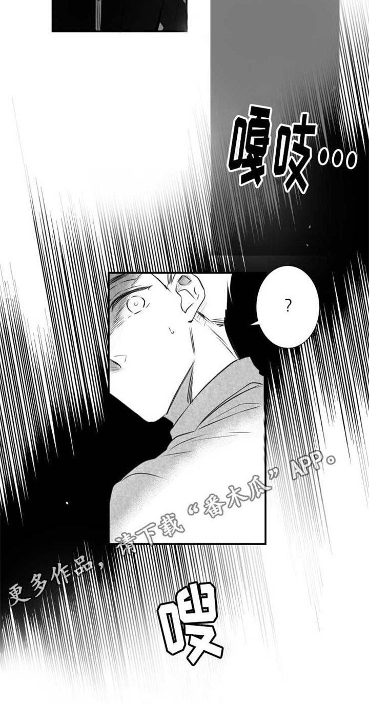 第48章：借口18