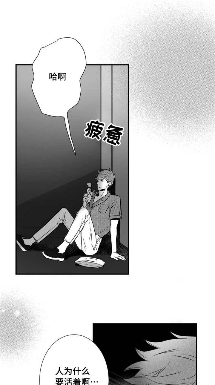 第55章：需求7