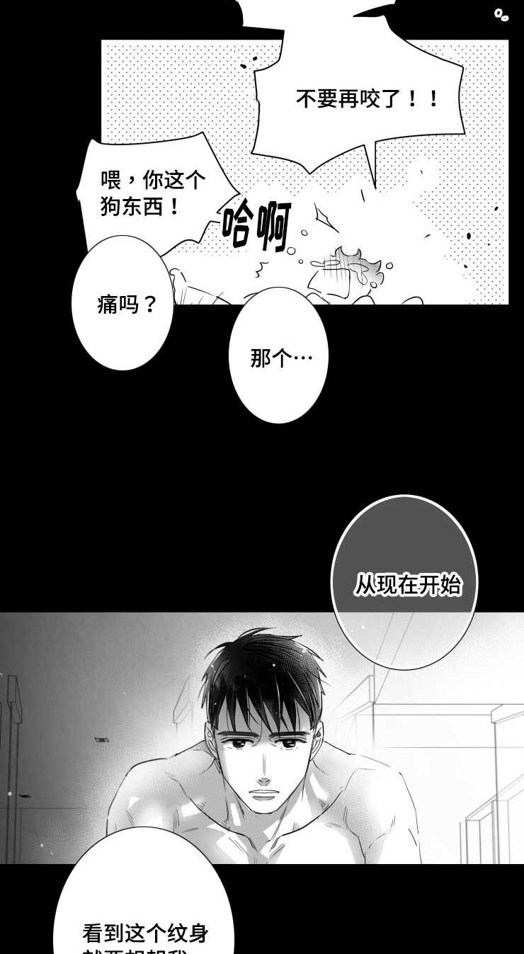 第96章：摆脱17