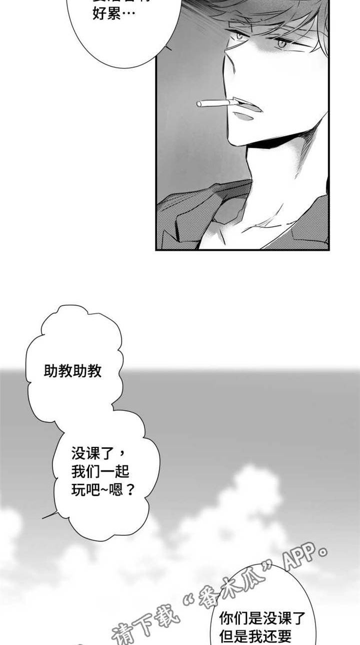 第55章：需求8