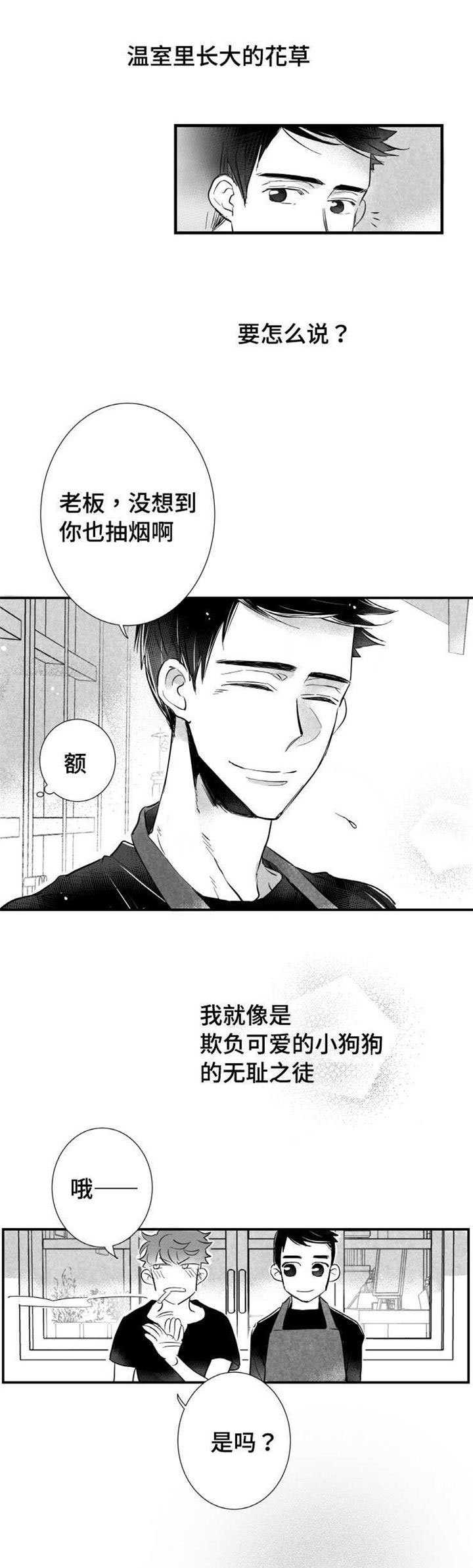第11章：时机不对4