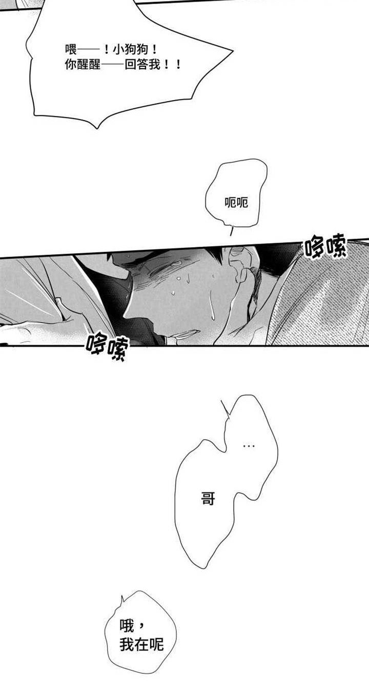 第37章：真实的你4
