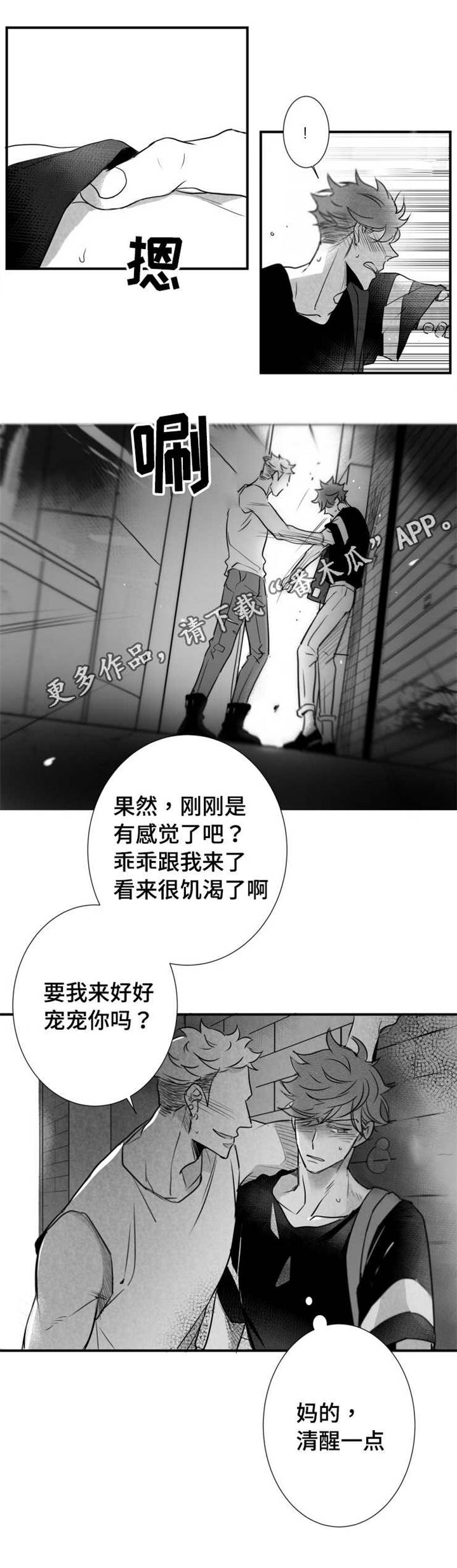 第59章：乱套了12