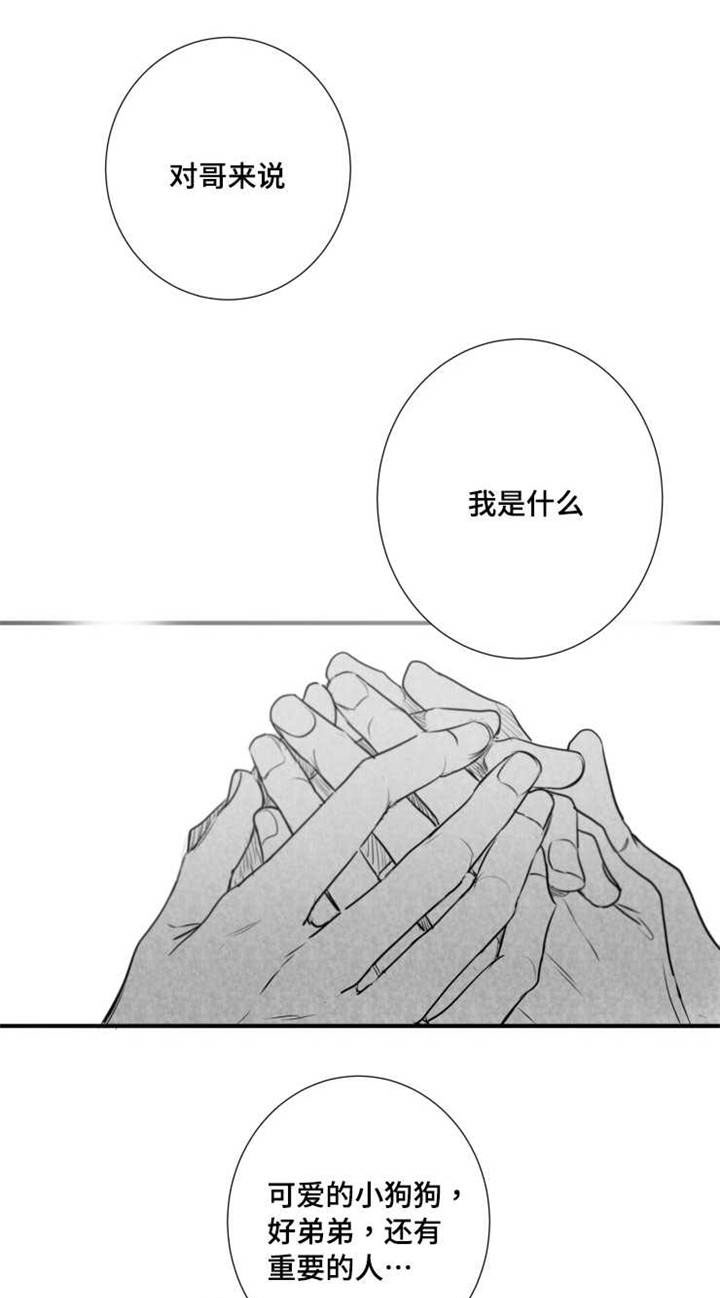 第62章：想法16