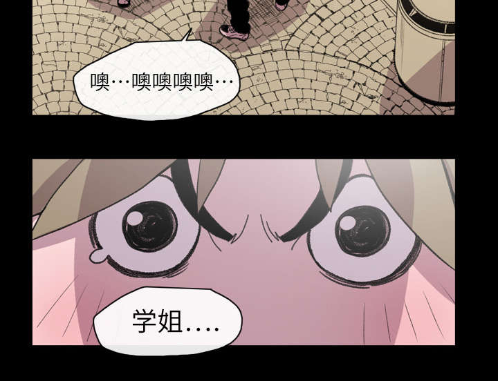 第20章：惊喜48