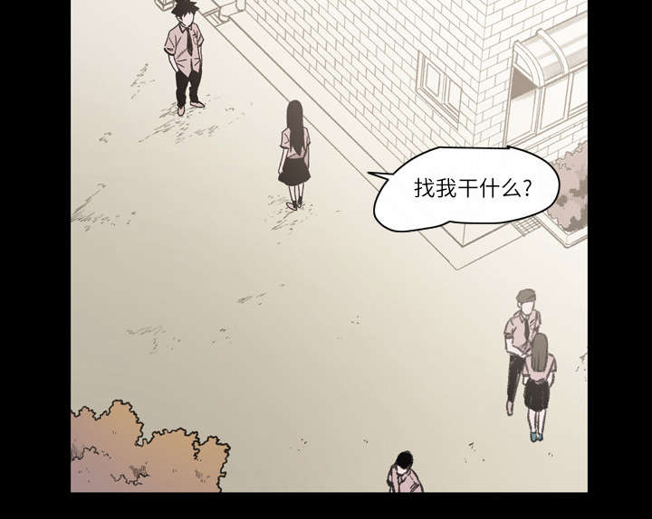 第29章：在意44