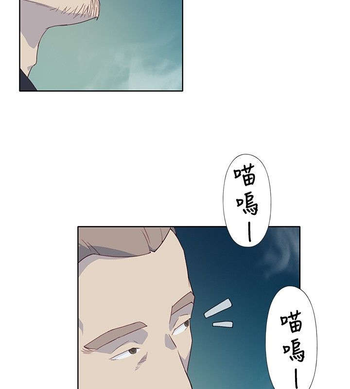 第11章：尝试7