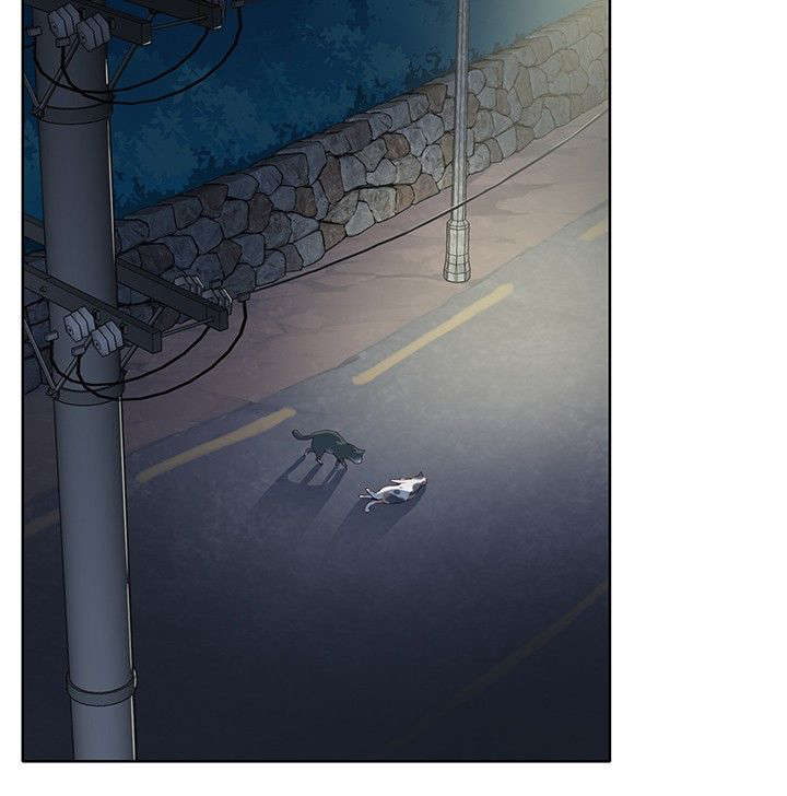 第11章：尝试5