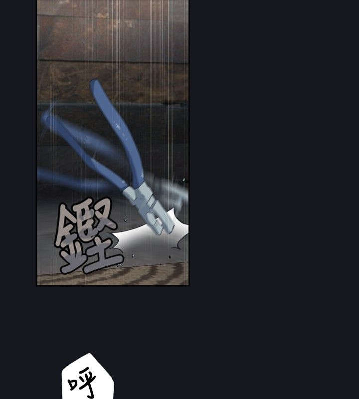 第5章：动起来了7