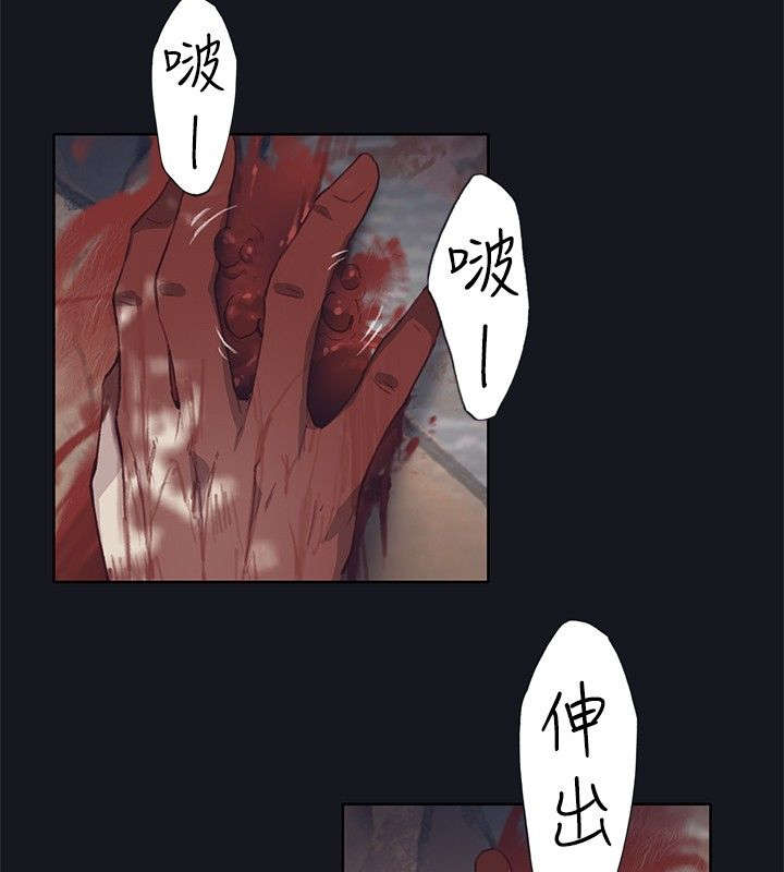 第29章：放我出来5