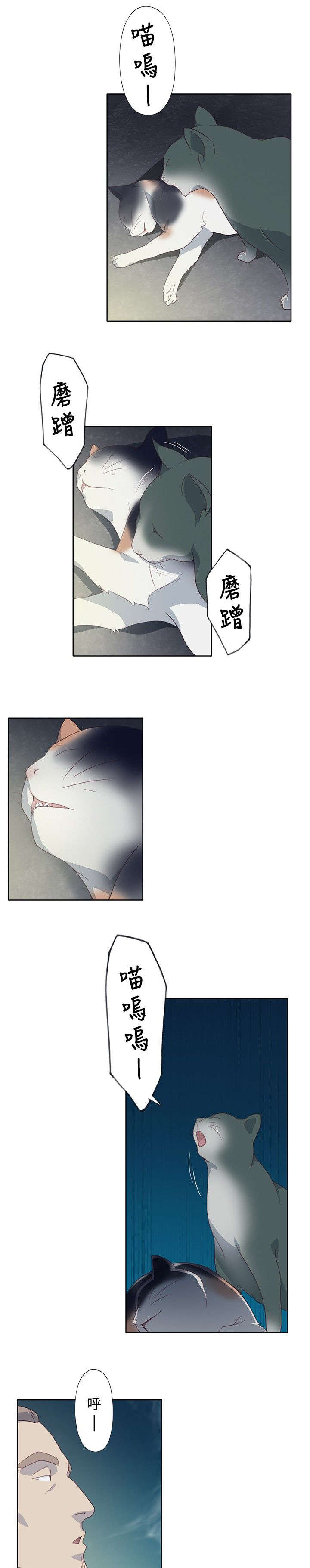 第11章：尝试6