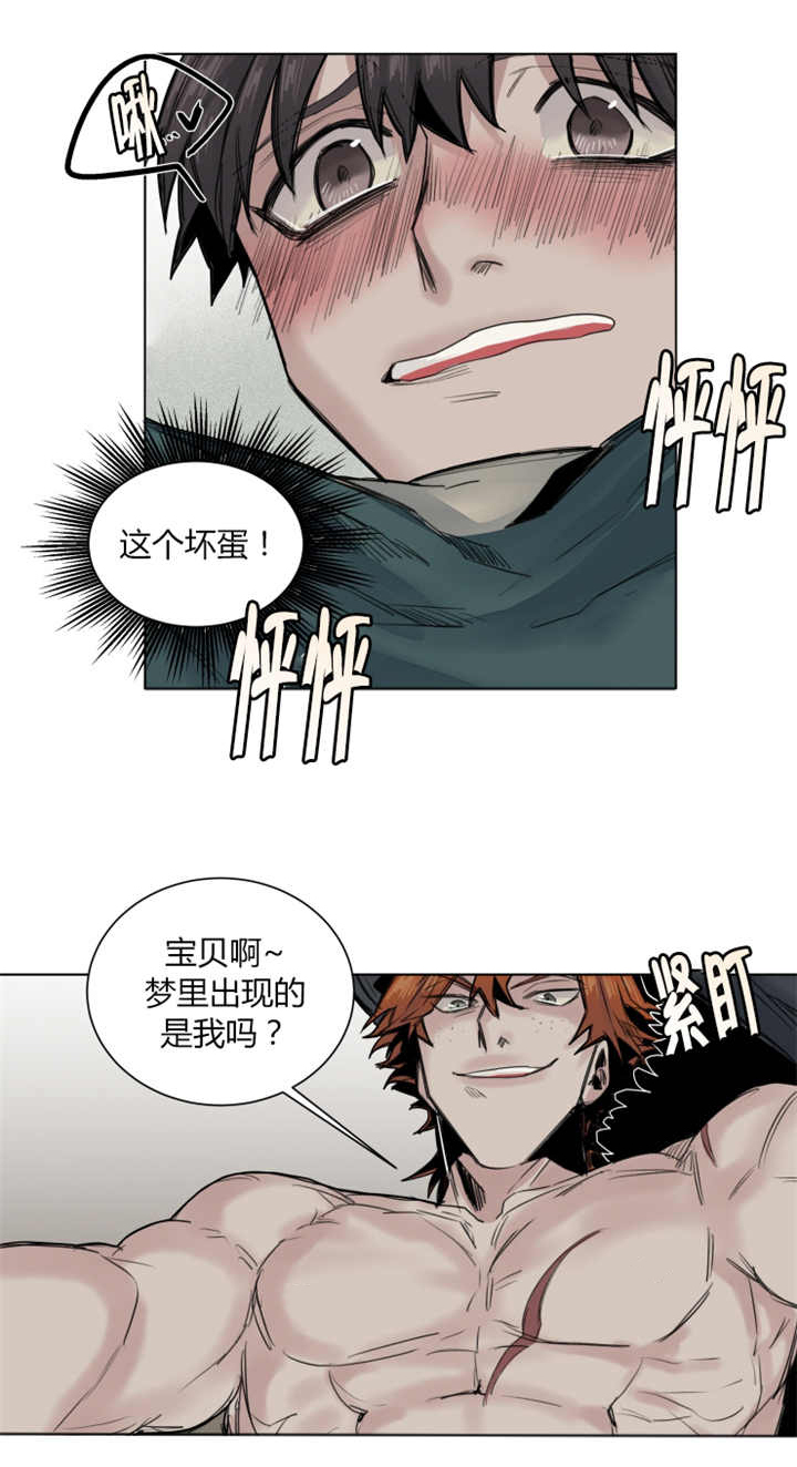 第37章：梦到了我吗5