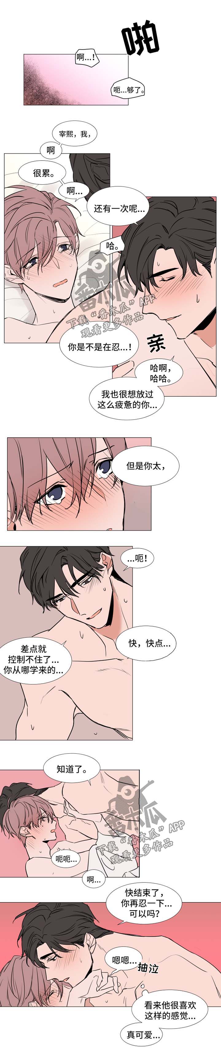 第78章：标准3