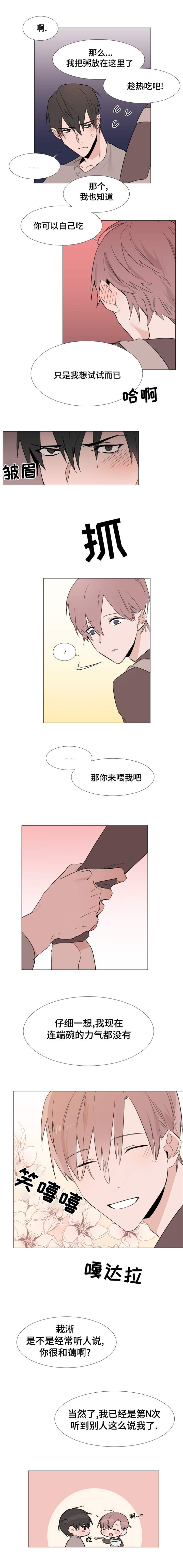 第14章：照顾5