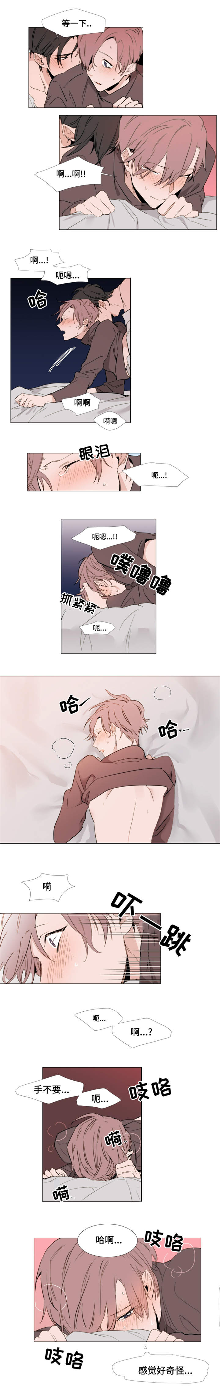 第16章：草莓3