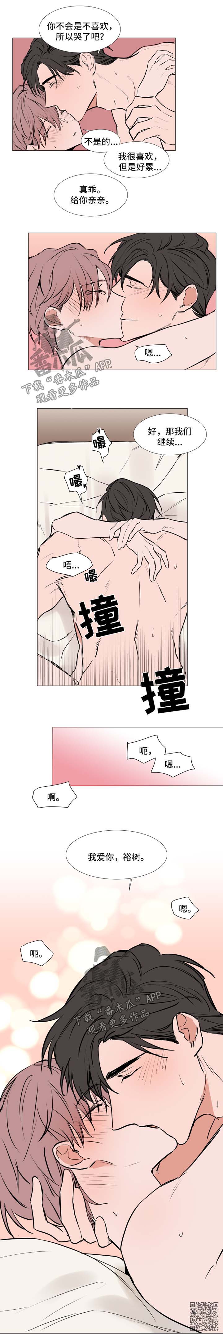第78章：标准4