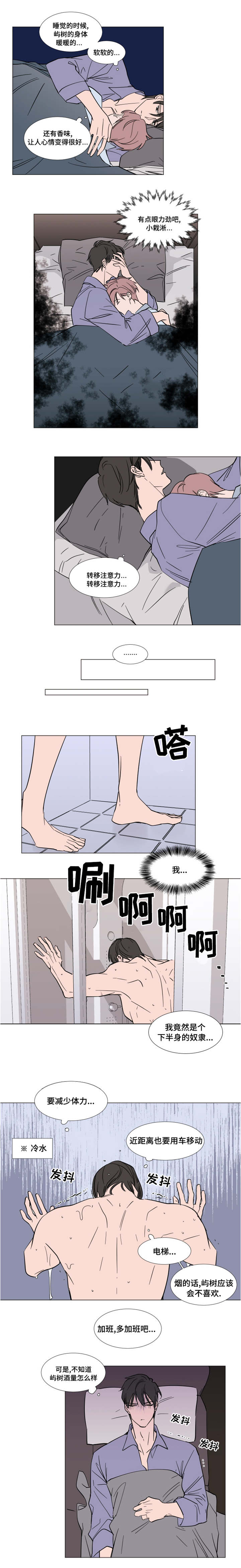 第59章：父母的遗物3