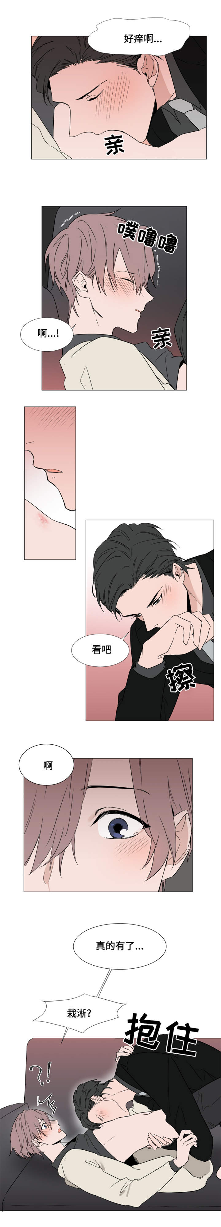 第17章：心跳8