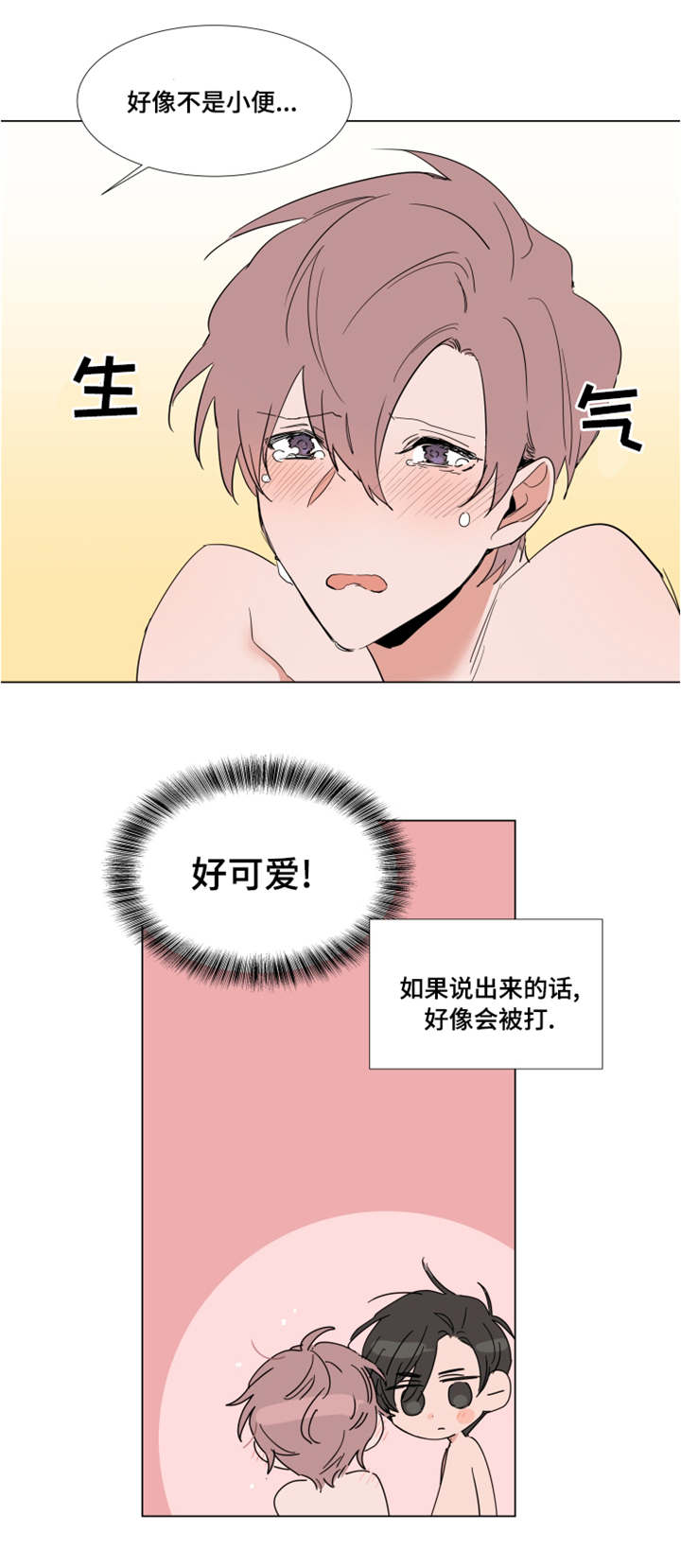 第52章：禁令7