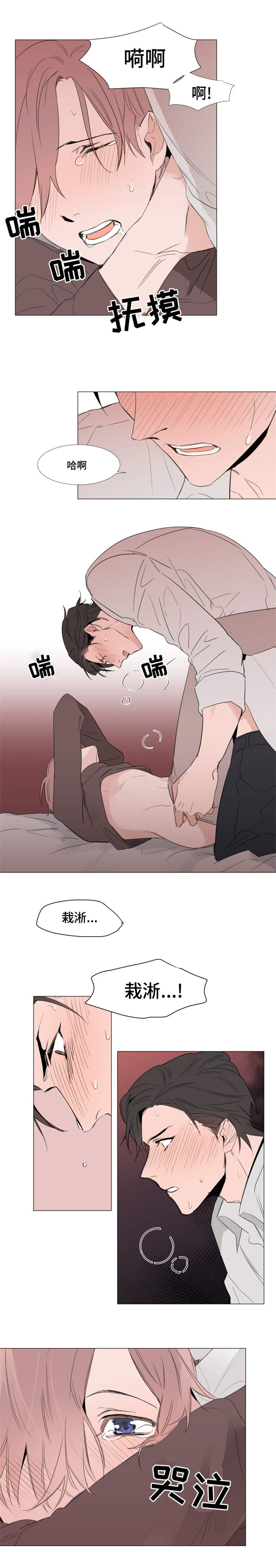 第15章：周期6