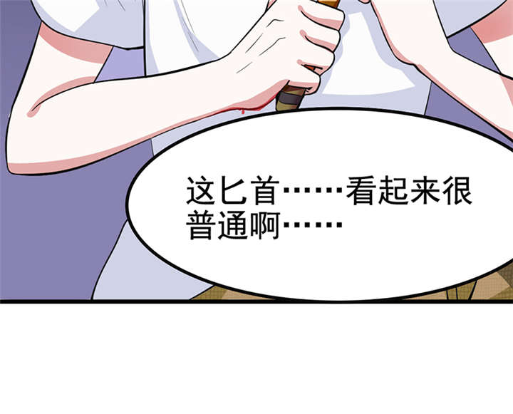 第1章：匕首见证25