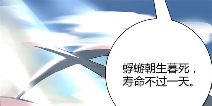 第16章：蜉蝣刺客团28