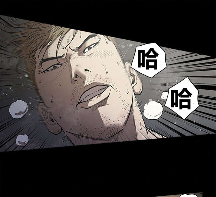 第28章：复仇开始14