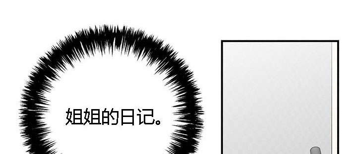 第32章：姐姐的日记3