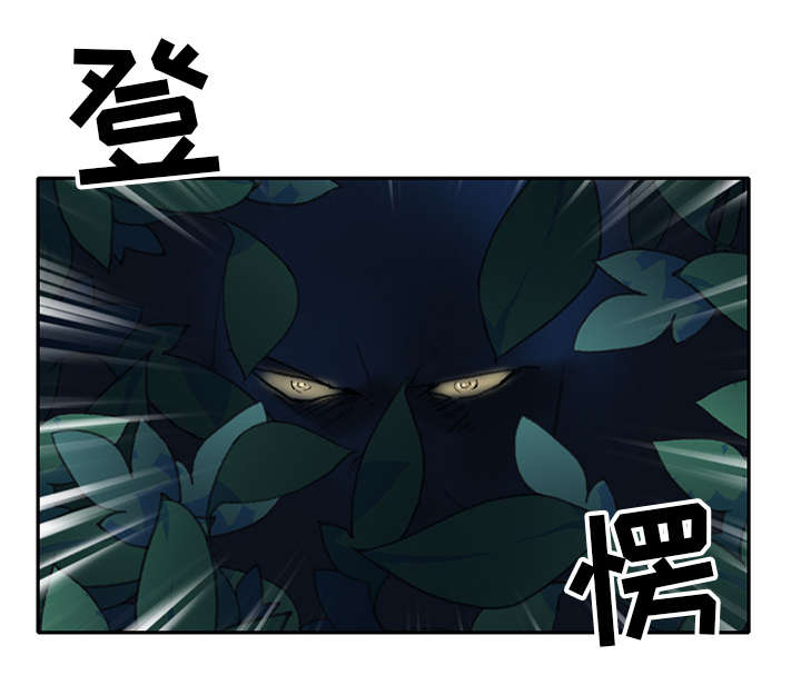 第48章：大结局45