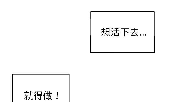 第30章：正面对决23